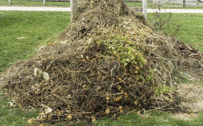 Get It Out of Here: What All Can You Fit Into a 10 Yard Dumpster?