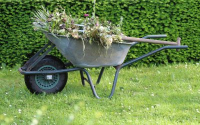 The Benefits of Using Dumpster Rentals for Yard Cleanups